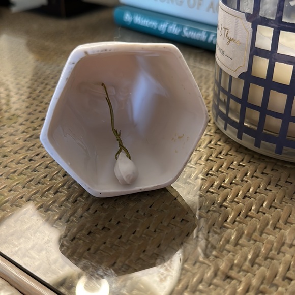 John Aynsley Pembroke Bone China Blue Bird & Floral Bell - Picture 7 of 7